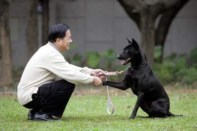總統春節賀歲影片-陳水扁總統與狗握手致意