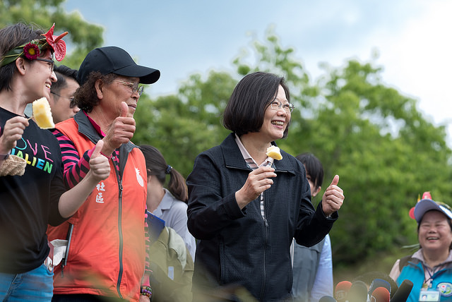 總統花蓮行第二天前往富興村鳳梨公園　親自採收品嚐鳳梨